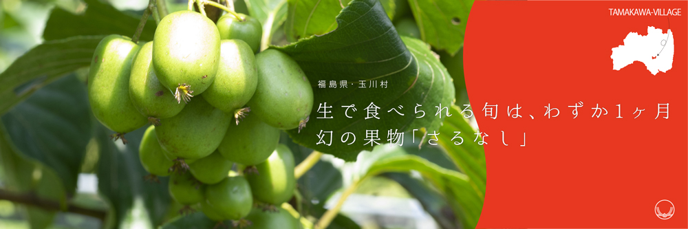 福島県玉川村のお礼の品｜生で食べられる旬は、わずか1ヶ月！幻の果物「さるなし」｜ふるさと納税「ふるり」
