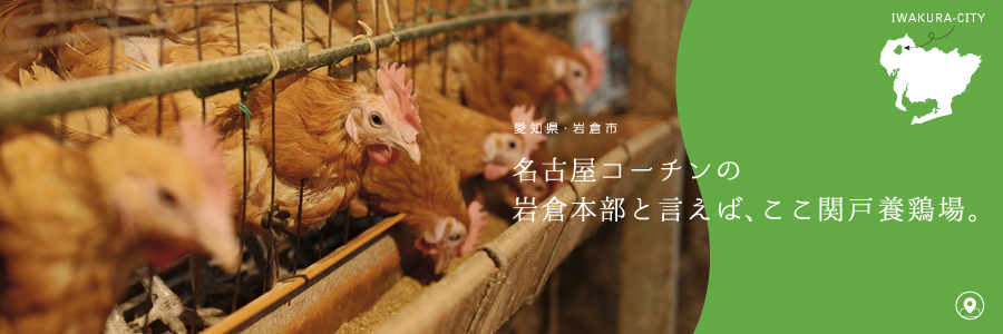 名古屋コーチンの岩倉本部といえば、ここ関戸養鶏場。