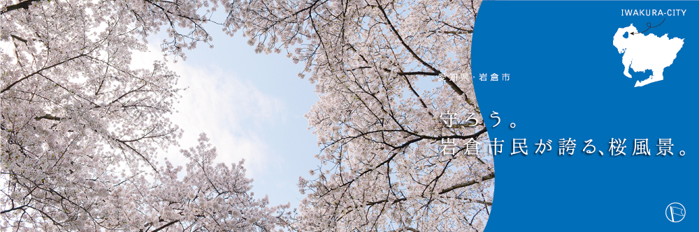 守ろう。岩倉市民が誇る、桜風景。
